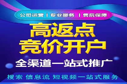 百度推广中的创意策略：成功案例解析与启示